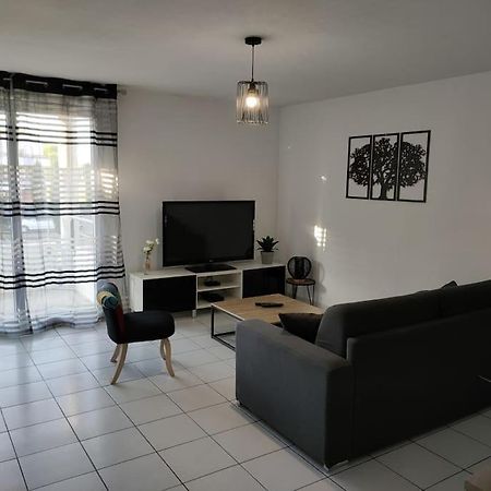 Spacieux Et Joli Appartement De 2 A 4 Personnes • Parking • Wifi Fenouillet  المظهر الخارجي الصورة