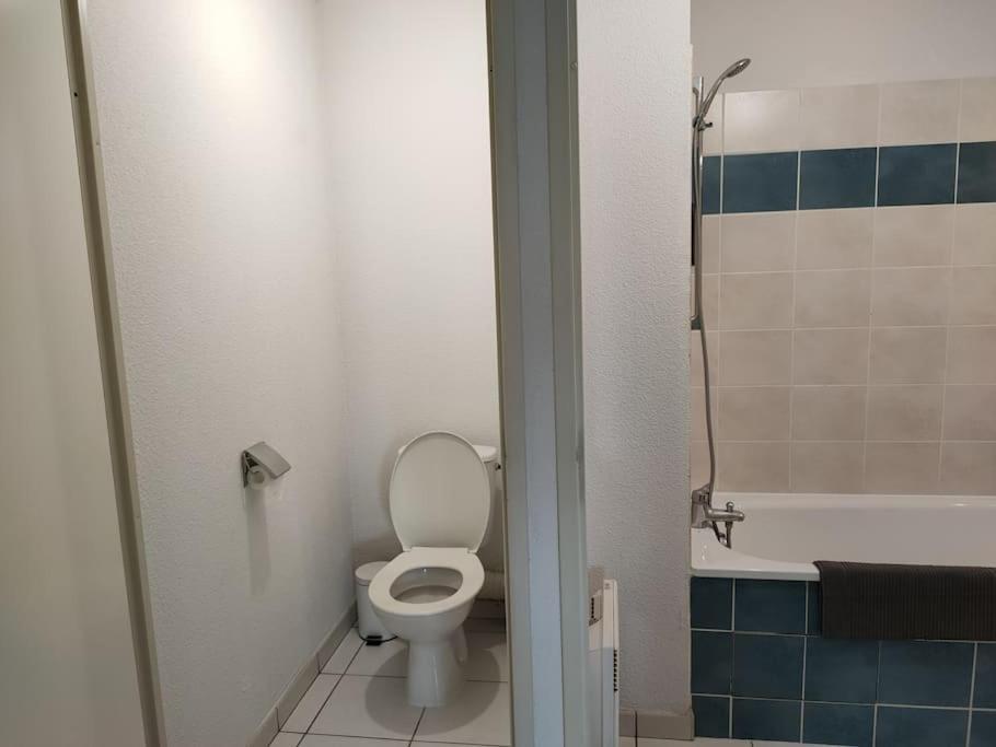 Spacieux Et Joli Appartement De 2 A 4 Personnes • Parking • Wifi Fenouillet  المظهر الخارجي الصورة