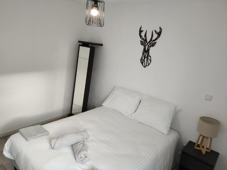 Spacieux Et Joli Appartement De 2 A 4 Personnes • Parking • Wifi Fenouillet  المظهر الخارجي الصورة